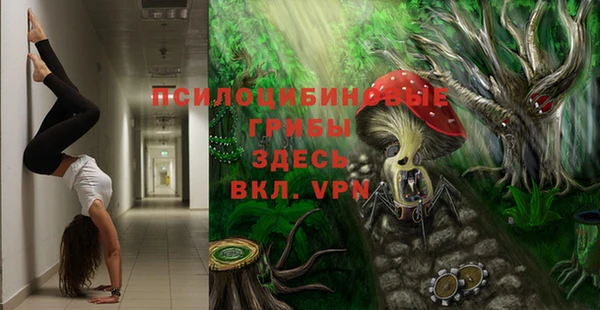 соль курить ск Зерноград