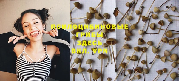 не бодяженный Зеленокумск
